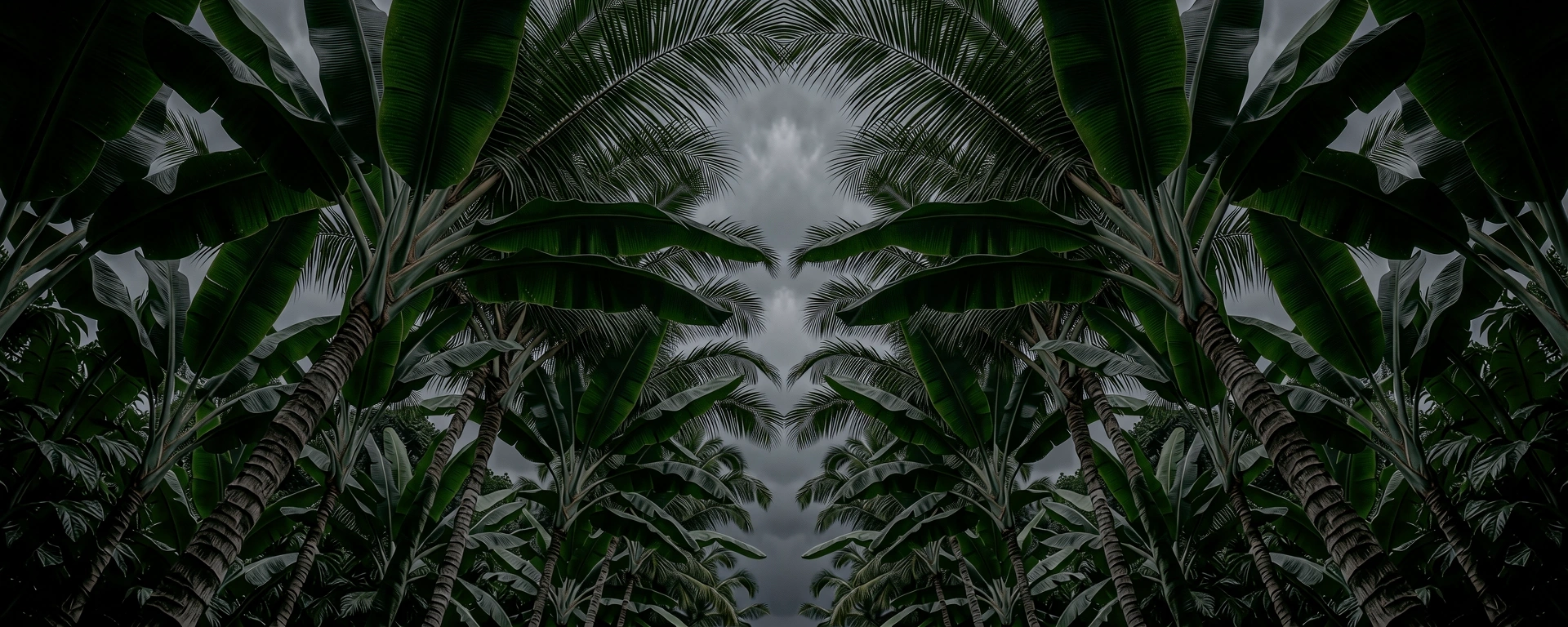 Botanical architecture background